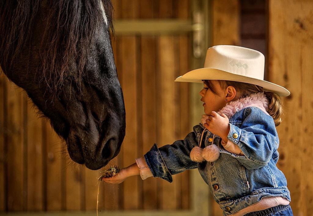 El Bronco Working Ranch Izsák Eksteriør billede